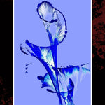 fotografia-artistica-botanica-blue-botanical-edition-iv-marino-robles-azul-electrico