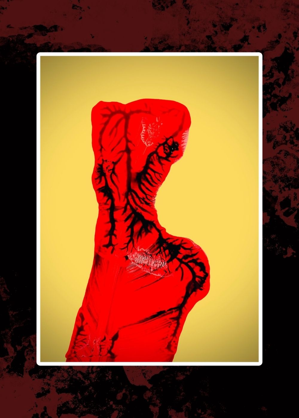 fotografia-artistica-figura-red-anatomy-edition-xvii-marino-robles-rojo-amarillo-venas